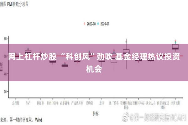 网上杠杆炒股 “科创风”劲吹 基金经理热议投资机会