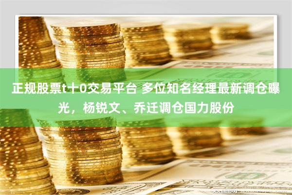 正规股票t十0交易平台 多位知名经理最新调仓曝光，杨锐文、乔迁调仓国力股份