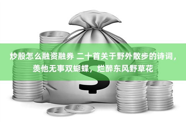 炒股怎么融资融券 二十首关于野外散步的诗词，羡他无事双蝴蝶，烂醉东风野草花