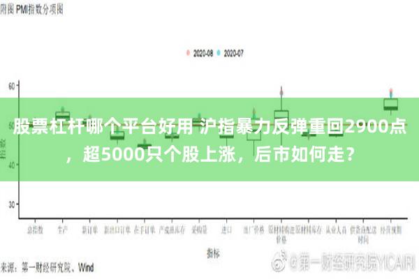 股票杠杆哪个平台好用 沪指暴力反弹重回2900点，超5000只个股上涨，后市如何走？