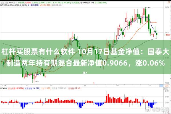 杠杆买股票有什么软件 10月17日基金净值：国泰大制造两年持有期混合最新净值0.9066，涨0.06%