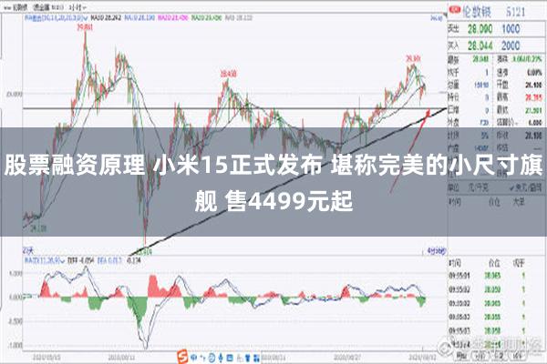 股票融资原理 小米15正式发布 堪称完美的小尺寸旗舰 售4499元起