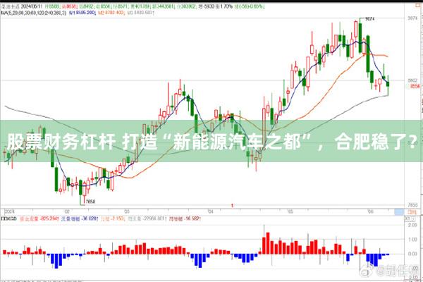 股票财务杠杆 打造“新能源汽车之都”，合肥稳了？