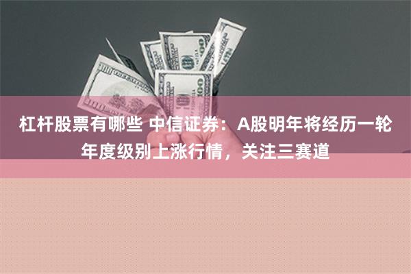 杠杆股票有哪些 中信证券：A股明年将经历一轮年度级别上涨行情，关注三赛道