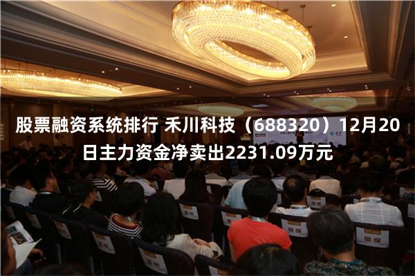 股票融资系统排行 禾川科技（688320）12月20日主力资金净卖出2231.09万元