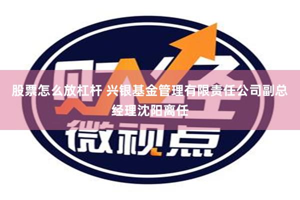 股票怎么放杠杆 兴银基金管理有限责任公司副总经理沈阳离任