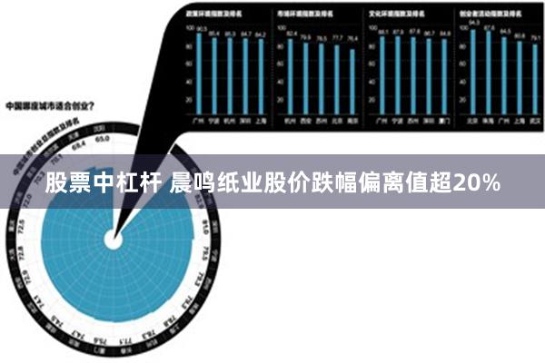 股票中杠杆 晨鸣纸业股价跌幅偏离值超20%