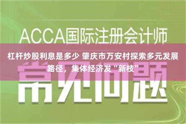 杠杆炒股利息是多少 肇庆市万安村探索多元发展路径，集体经济发“新枝”