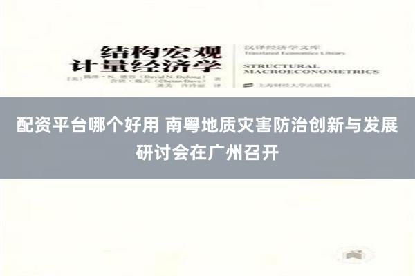 配资平台哪个好用 南粤地质灾害防治创新与发展研讨会在广州召开