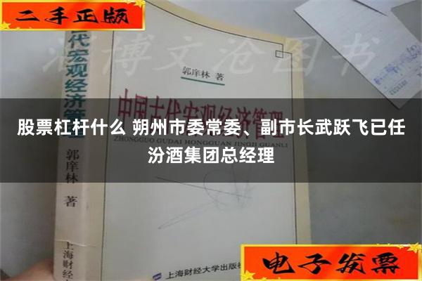 股票杠杆什么 朔州市委常委、副市长武跃飞已任汾酒集团总经理