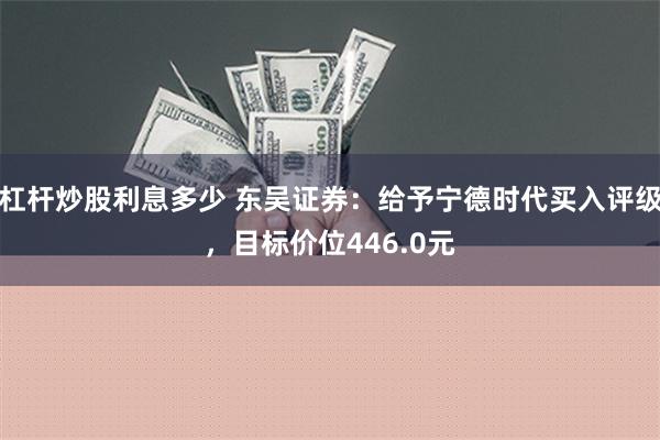 杠杆炒股利息多少 东吴证券：给予宁德时代买入评级，目标价位446.0元