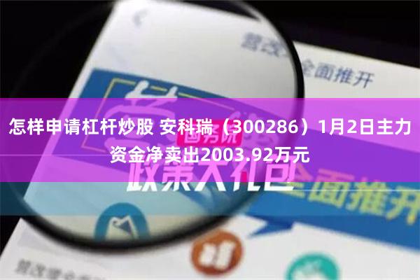 怎样申请杠杆炒股 安科瑞（300286）1月2日主力资金净卖出2003.92万元